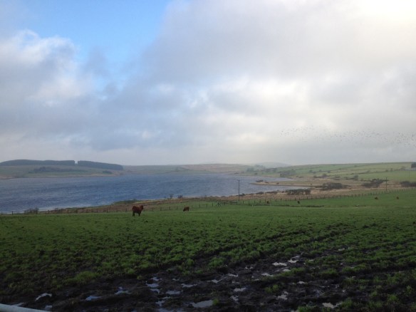 Colliford Lake, Bodmin Moor.