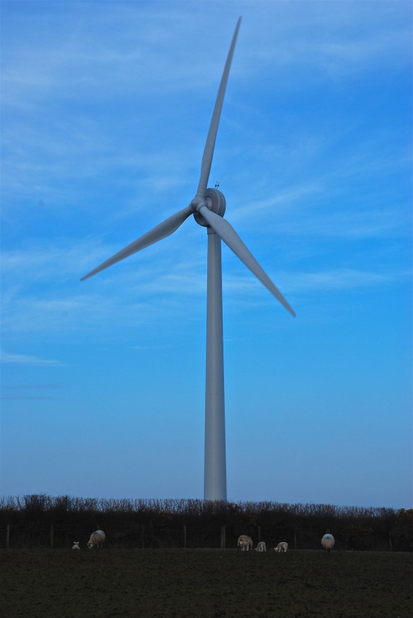 ISO160, 75mm lens, f11, 1/80th Sec. exposure.