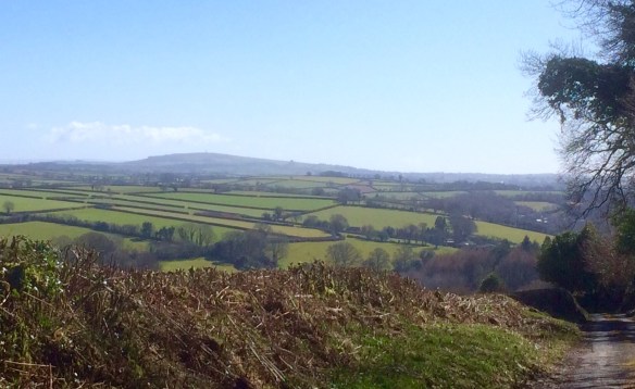 Kit Hill and the Lynher Vale.