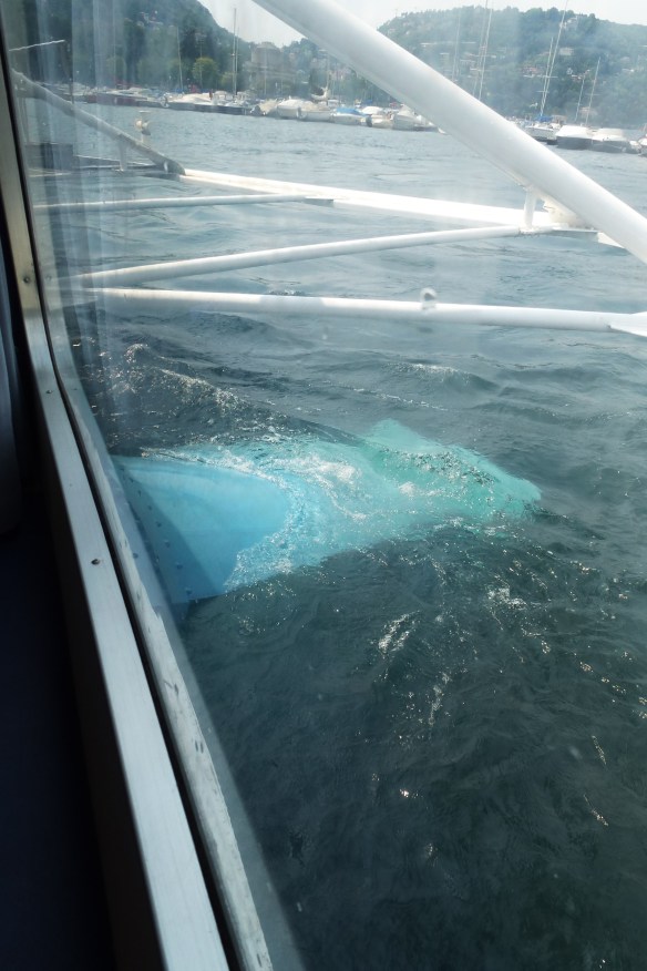 Cut the speed and now the hydrofoil drops the hull back into the water.