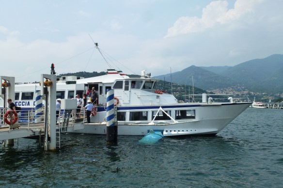 The hydrofoil the pale blue thing sticking out of the side of the boat.