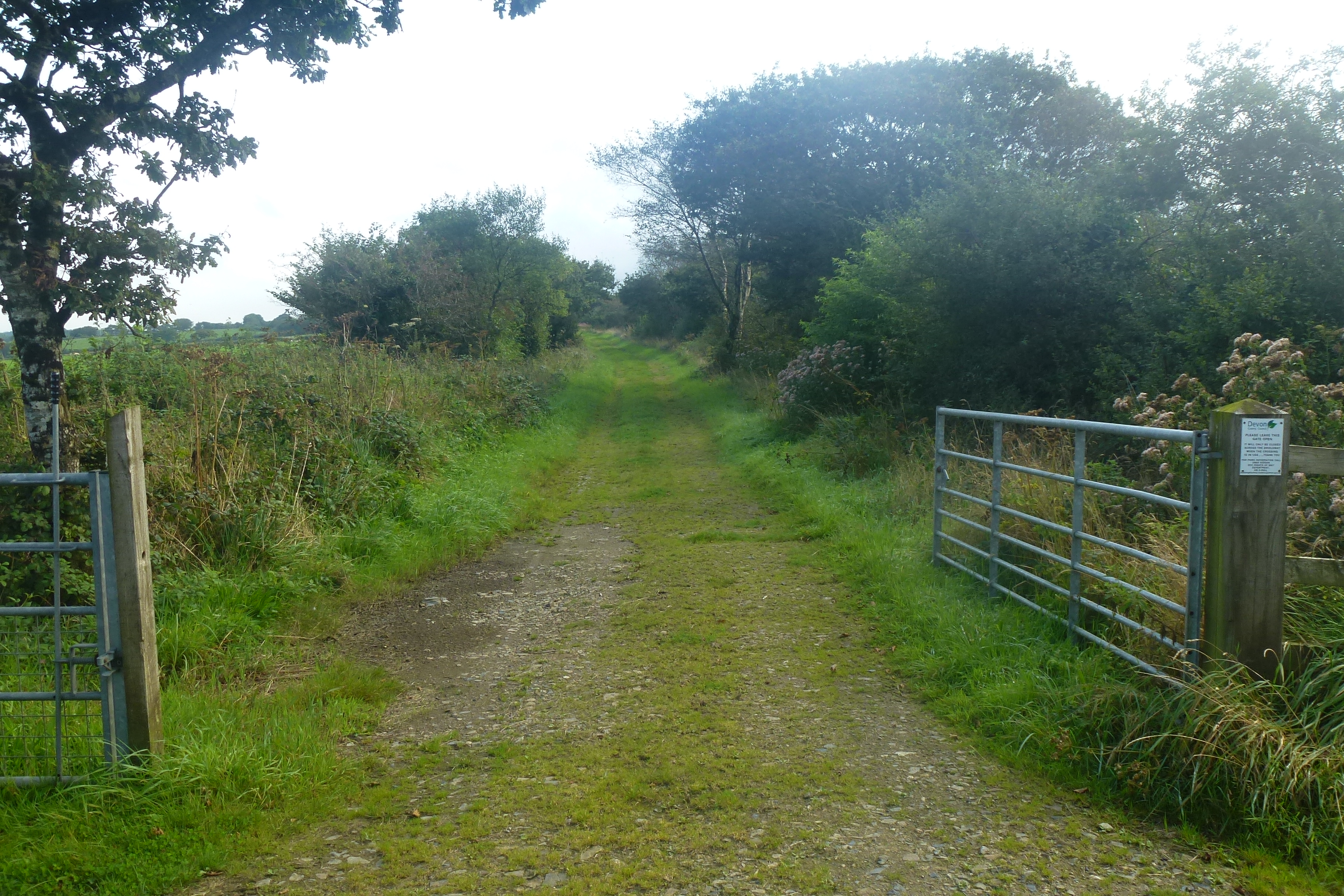 The old railway line, once the Atlantic Coast Express ran along here.