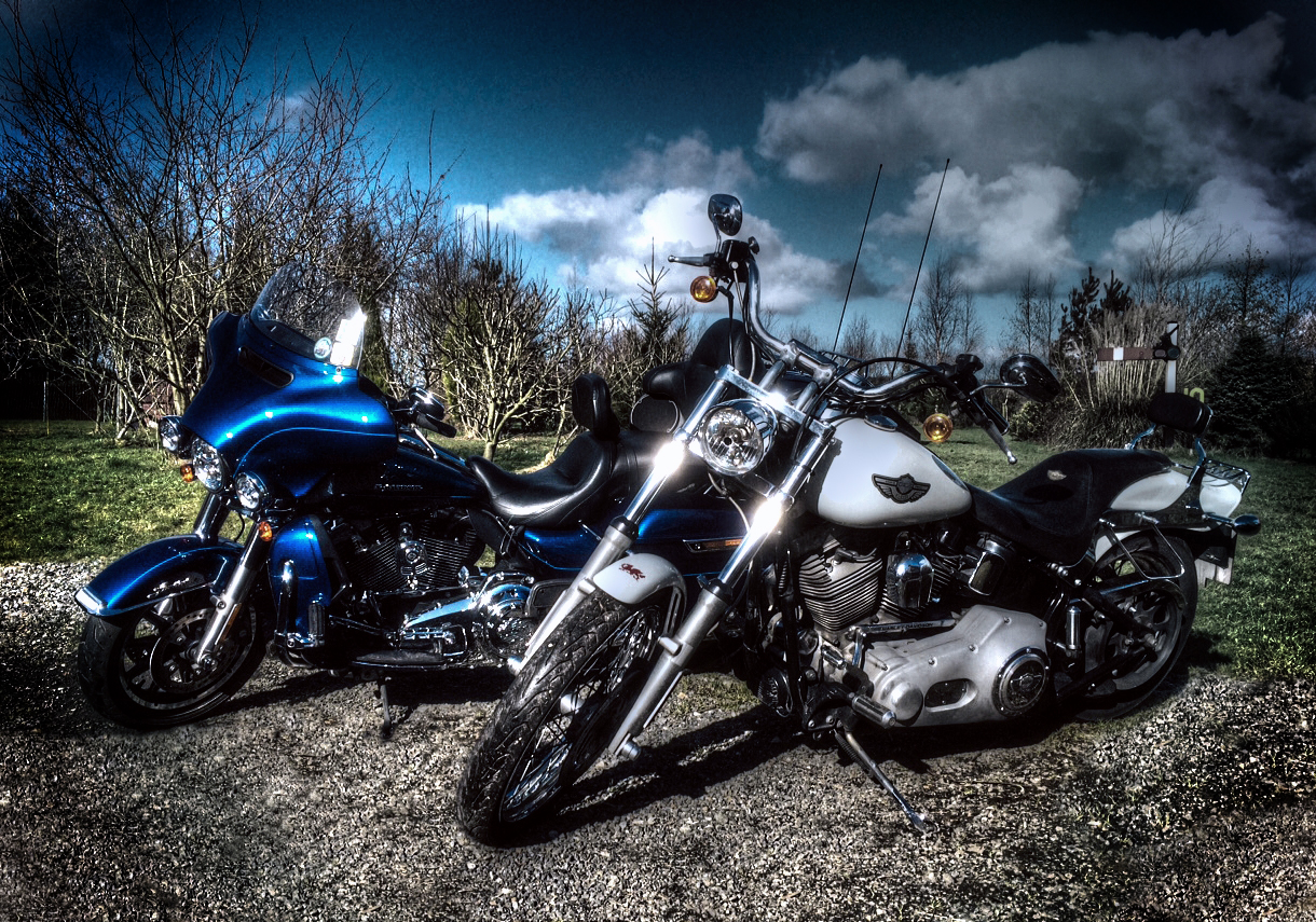 Baby and Harls, going nowhere without me on board! Photoshopped by Ninja Alba.