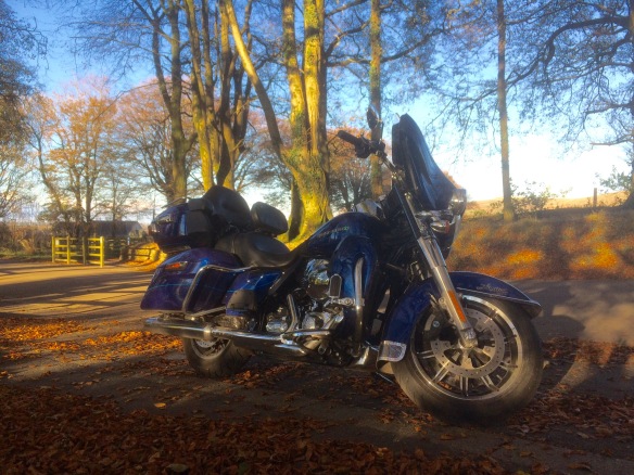 Baby Blue rests in Golden Shadows. Heaven on two wheels!